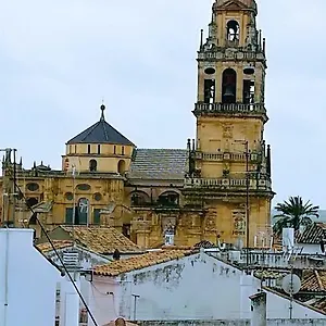 https://a-escasos-metros-de-la-mezquita.es-andalucia.com